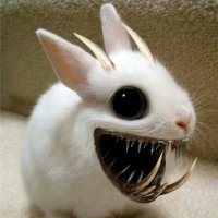 🍁No Ordinary Rabbit (Beast of Caerbannog)(@SomewhatHarmles) 's Twitter Profile Photo