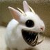 🍁No Ordinary Rabbit (Beast of Caerbannog) (@SomewhatHarmles) Twitter profile photo