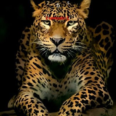 Rovshan45496966's profile picture. Rövşən