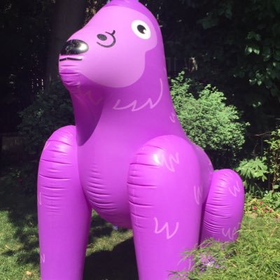 spedancular's profile picture. Hey