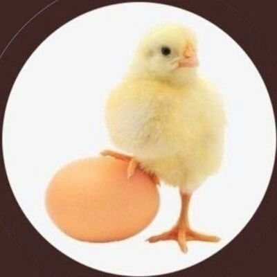 0jttE3's profile picture. 