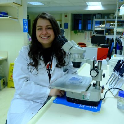 @BBSRCWhiteRose PhD student in membrane protein biology @GoldmanLab by day, attempting to keep my profile meme-free and professional by night 🇧🇬 🏳️🌈