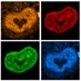 Kutay Lab (@kutay_lab) Twitter profile photo Kutay Lab (@kutay_lab) Twitter profile photo