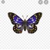 autisticbutterfly (@autisticbutter1) Twitter profile photo autisticbutterfly (@autisticbutter1) Twitter profile photo