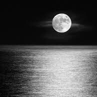 majed7772812575's profile picture. الحمدلله