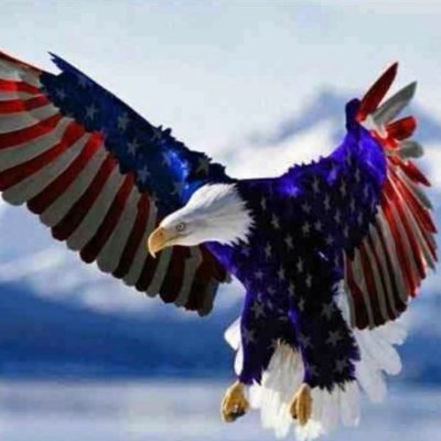 BarbSdaler's profile picture. 