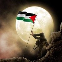 شاهد تاريخ فلسطين (@njeeleh) 's Twitter Profile