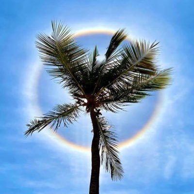 thecrucianeer's profile picture. 