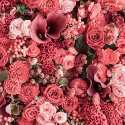 بكالوريوس علم نفس ✨ | أخصائية نفسية مسار إرشادي