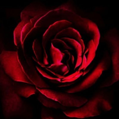 وَمَن يَتَّقِ اللَّهَ يَجْعَل لَّهُ مَخْرَجًا وَيَرْزُقْهُ مِنْ حَيْثُ لَا يَحْتَسِبُ وَمَن يَتَوَكَّلْ عَلَى اللَّهِ فَهُوَ حَسْبُهُ