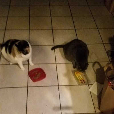 LisaDel79060122's profile picture. 