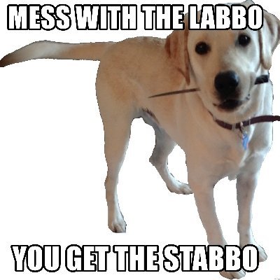 JackiraOui's profile picture. idk I just like memes and 4chan and csgo and uuuugh minecraft cuz yeah