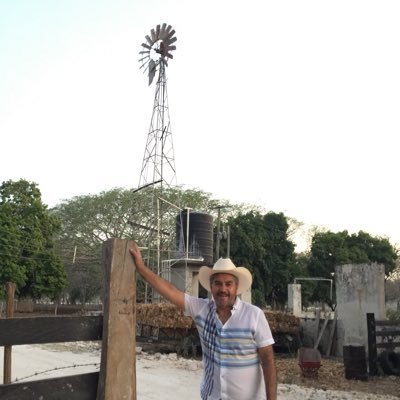 JOlguinLuna's profile picture. Reflexionando y buscando el punto de equilibrio sobre la economía social en paralelo a la economía capitalista