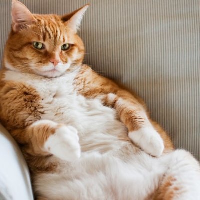 BodyByBigos's profile picture. Legerdemain and ledgers, man