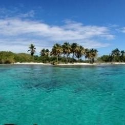 ray1rivas's profile picture. 