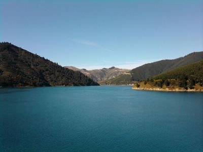 c04d003021dd4f3's profile picture. 