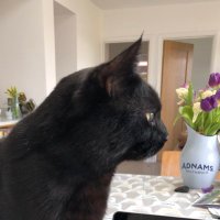 Anna Sidders (@anna_sidders) 's Twitter Profile Photo Anna Sidders (@anna_sidders) 's Twitter Profile Photo