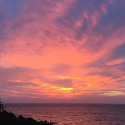 mcanaval's profile picture. 