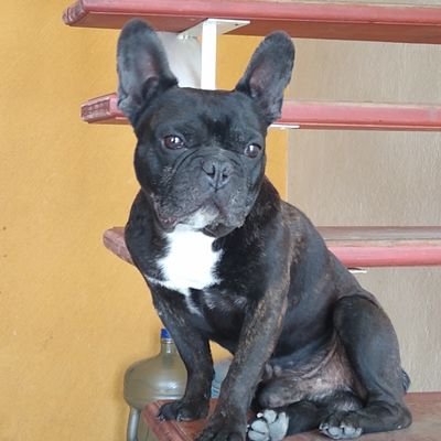 disoronn's profile picture. 