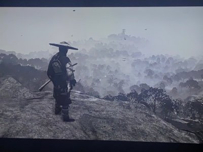 notacelebrity_'s profile picture. 