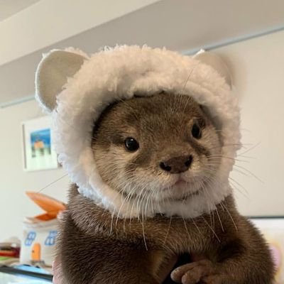 샛별さんのプロフィール画像
