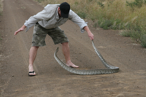 Adventurer, Biologist, Explorer, Wildlife Expert, Speaker, Expedition Leader and a Host of Nat Geo WILD's The Python Hunters!