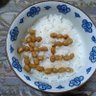 X8Tu1qqG7N4uJ9U's profile picture. /興味のある分野：男女共同参画・環境・防災・子育て・教育・医療/やってみたこと：看護師・事務職・ｲﾍﾞﾝﾄ企画運営・講師・ﾗｲﾀｰ/2007〜2017年4児の母