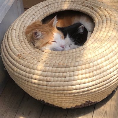 rTNMyLjUZTnYv0s's profile picture. 