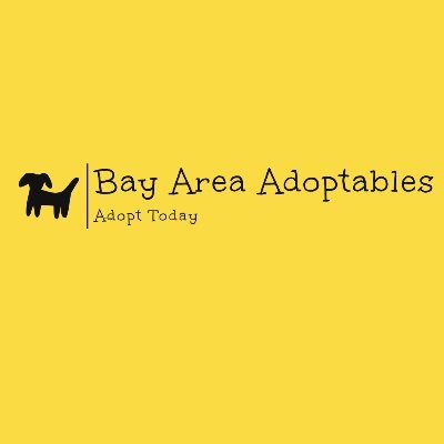 BayAreaAdopt's profile picture. We feature adoptable dogs in the California Bay Area! You can't buy love, but you can rescue it