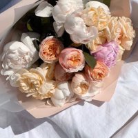 فاطمة (@_fabdkader) 's Twitter Profile