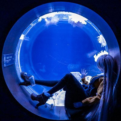 10PLA_Doll's profile picture. 通称:西の人もしくはえびてん商会。体の8割はコーヒーでできてる綺麗可愛いお姉さん系ドール大好きおじさん。 使用カメラはEOS R6 markⅡ ※掲載画像の無断転載およびAI学習による画像出力については費用支払いに同意したものとみなし1pv:10$、1fav:100$、1RT:1,000$(各USD)を頂戴致します。