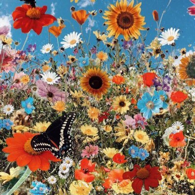 P2PVM's profile picture. 