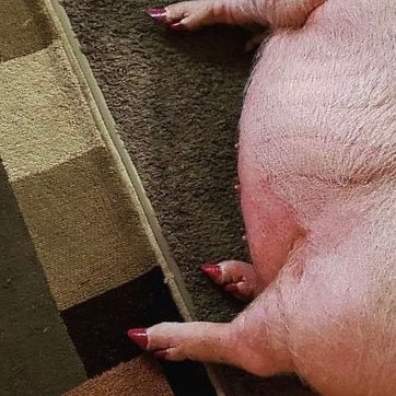 iscupisfu's profile picture. PISS MAn SALARY, THREEDIF, CVOTE, CHEFHACK, SEAVEC, JOHNY, LEALCO, AMIFIB, SMPAINT, CUBE, REIGN, GERALD03, SHIRO, DELISH, NEXTNUM, MIKE1, MIKE2, PD31, PRIME1,