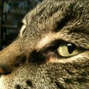 Joan Trahan - @Minous_Mom - Twitter