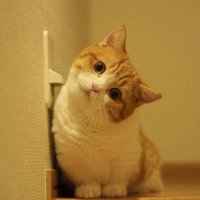 shitradin.group (@john_c_daily) 's Twitter Profile