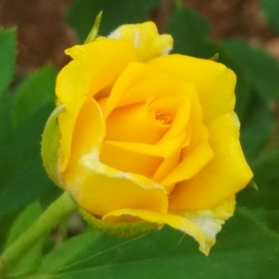 Mbaby06795944's profile picture. physics lover