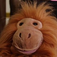 Inactive (@xb1leicester) 's Twitter Profile Photo