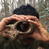 Anand Pandian (@anandspandian) 's Twitter Profile Photo Anand Pandian (@anandspandian) 's Twitter Profile Photo