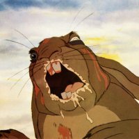 mjzorick (@mjzorick) 's Twitter Profile Photo