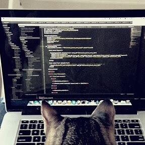catcoderDev's profile picture. Fullstack developer @catcoderphp