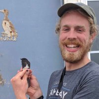 Mike Mahoney (@mike_c_mahoney) 's Twitter Profile