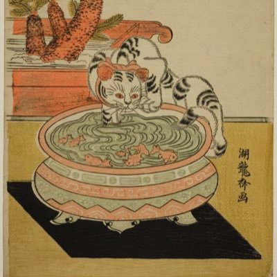 tropmalpourtoi's profile picture. transsexual heartthrob  😇😈 NSFW/18+