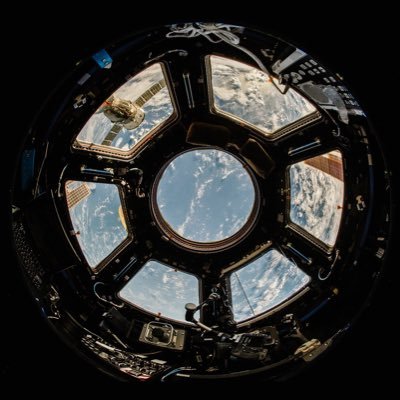 the older I get, the less this world resembles what I had envisioned as a child. - shit's fucked up