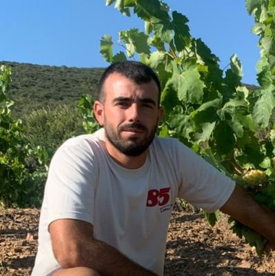AldeaYus's profile picture. ecoviticultor🍇