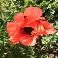 philip flexton (@pf2233) 's Twitter Profile