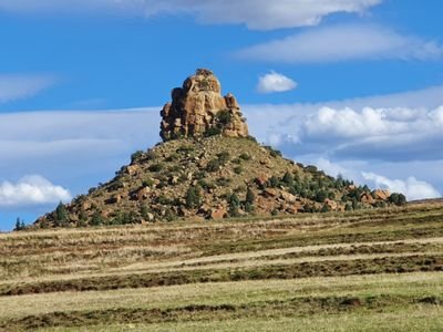 Tshifhi20809781's profile picture. Read and read again!