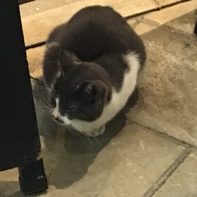 一条さんのプロフィール画像