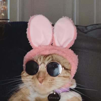 stepxrag's profile picture. nyc straight edge 718