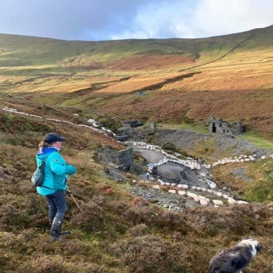 ManxShepherdess Profile Picture