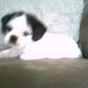 daniel daugherty - @ddaugh2 - Twitter